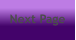 Next Page