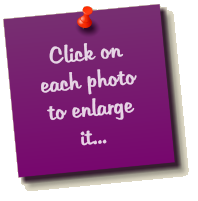 Click on each photo to enlarge it...